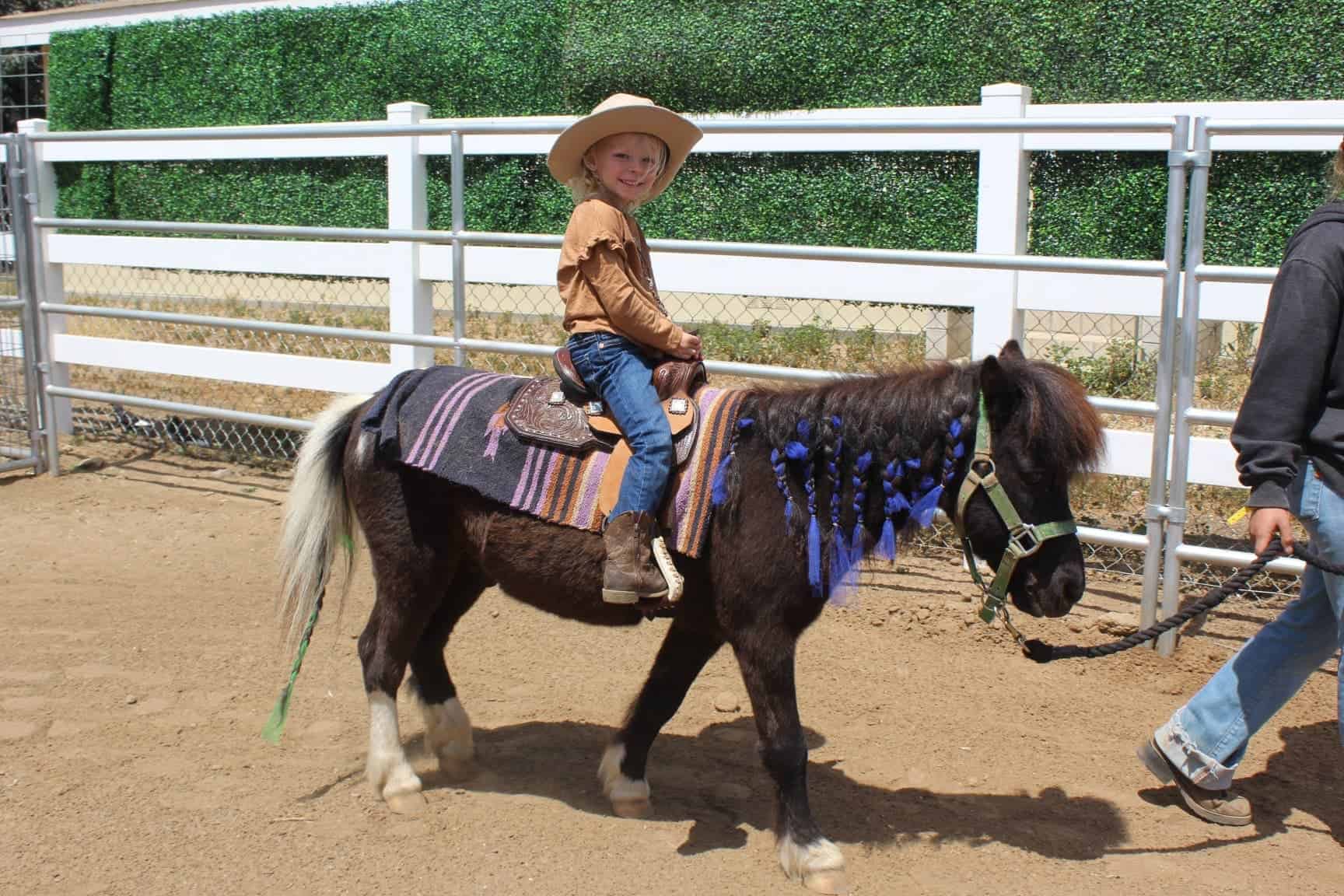 kids pony rides