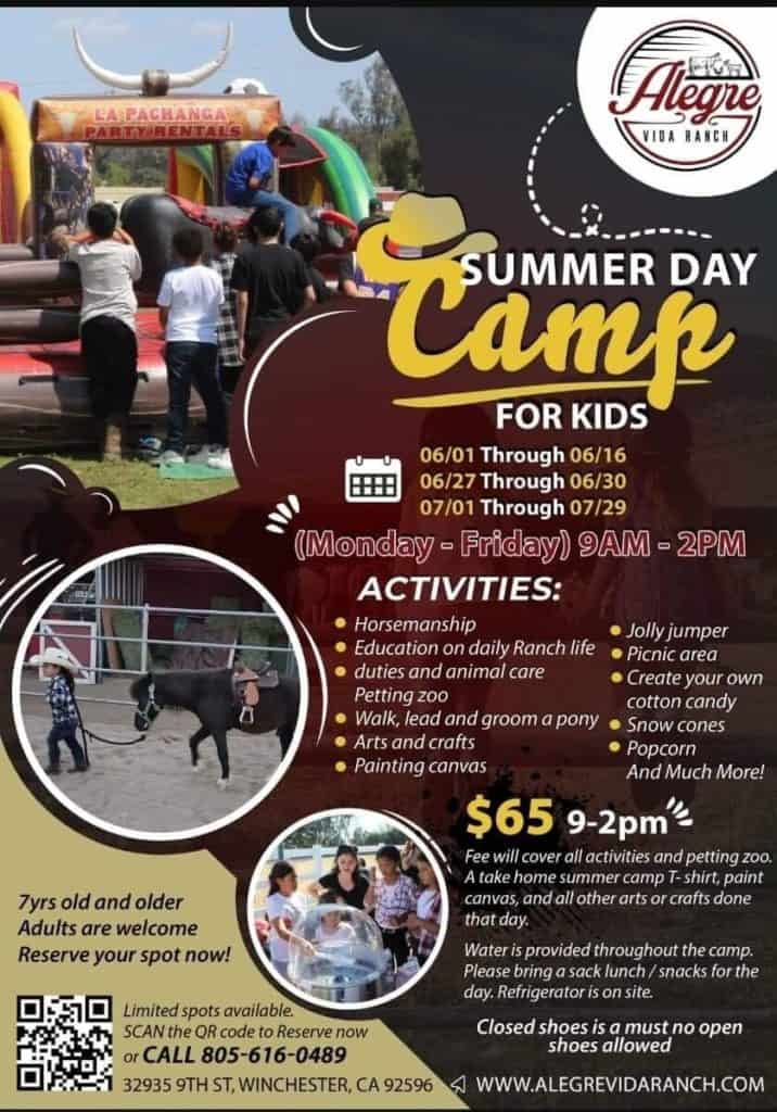 Summer Day Camp